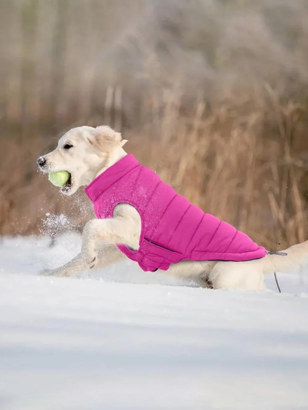 Lelepet Reversible Dog Coat